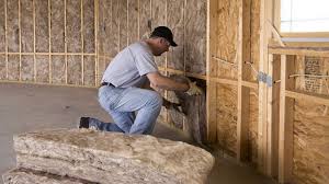 Best Insulation for New Construction  in Salmon, ID