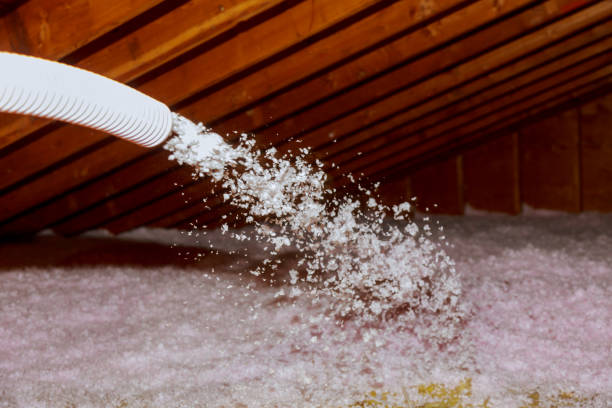 Best Garage Insulation  in Salmon, ID