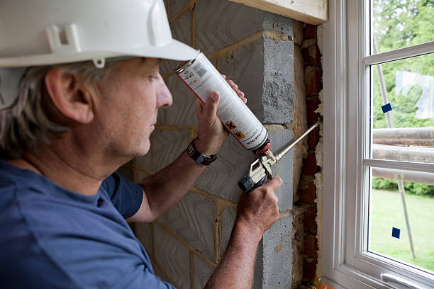 Best Attic Insulation Installation  in Salmon, ID