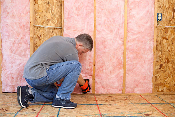 Eco-Friendly or Green Insulation Solutions in Salmon, ID